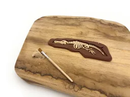 Fosílie - Mosasaurus