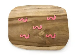 Krmení žížaly (5ks)