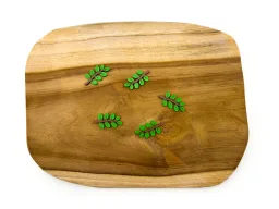 Krmení akátový list (5ks)