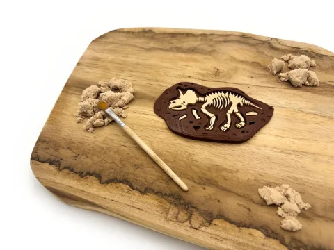 Fosílie - Triceratops