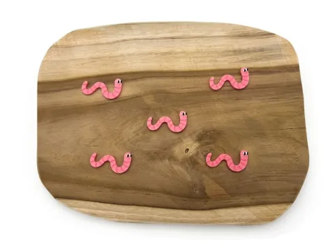 Krmení žížaly (5ks)