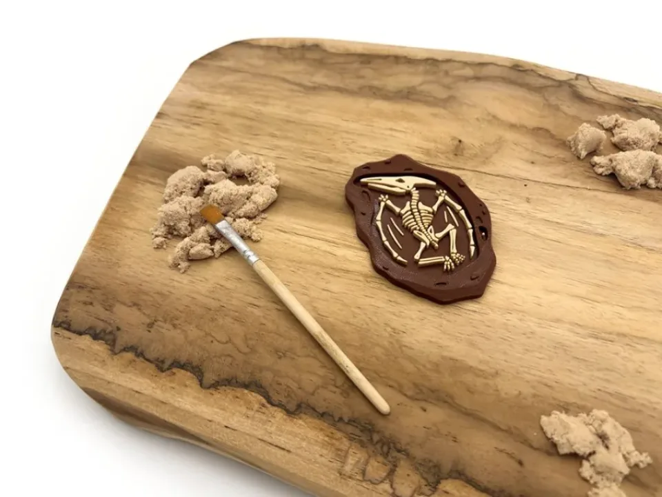 Fosílie - Pterodaktyl