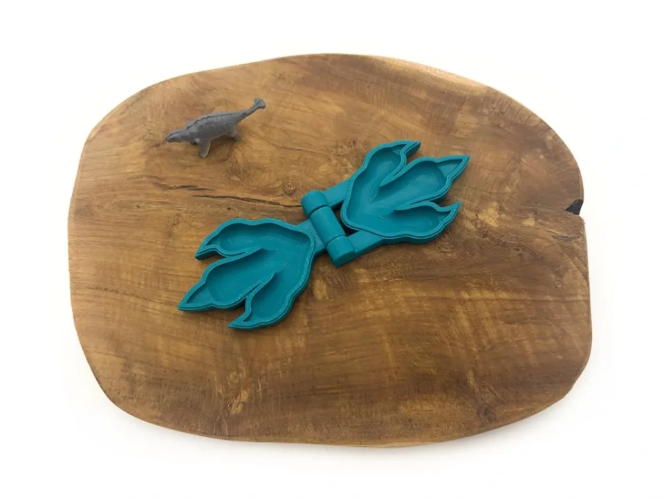 Tvořítko stopa dinosaura