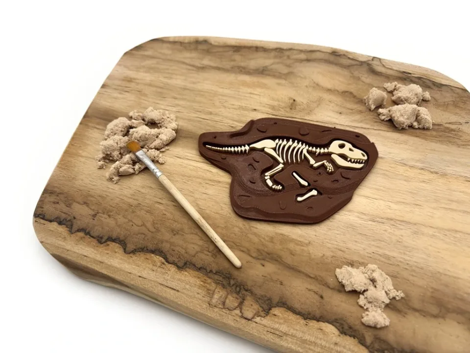 Fosílie - Tyrannosaurus Rex