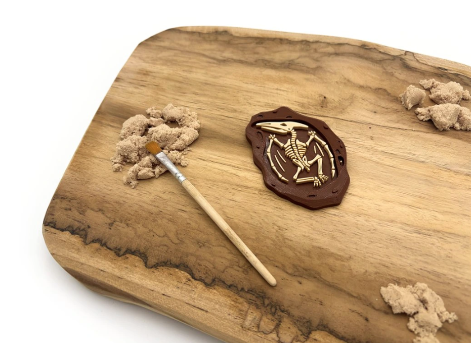 Fosílie - Pterodaktyl