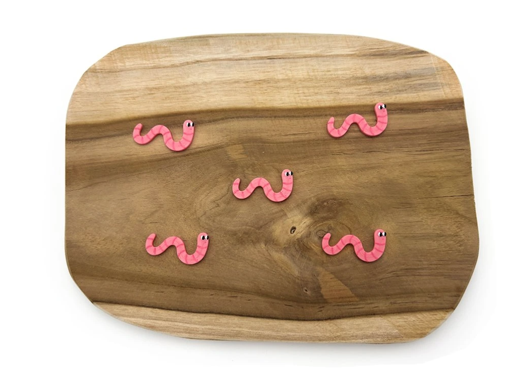 Krmení žížaly (5ks)